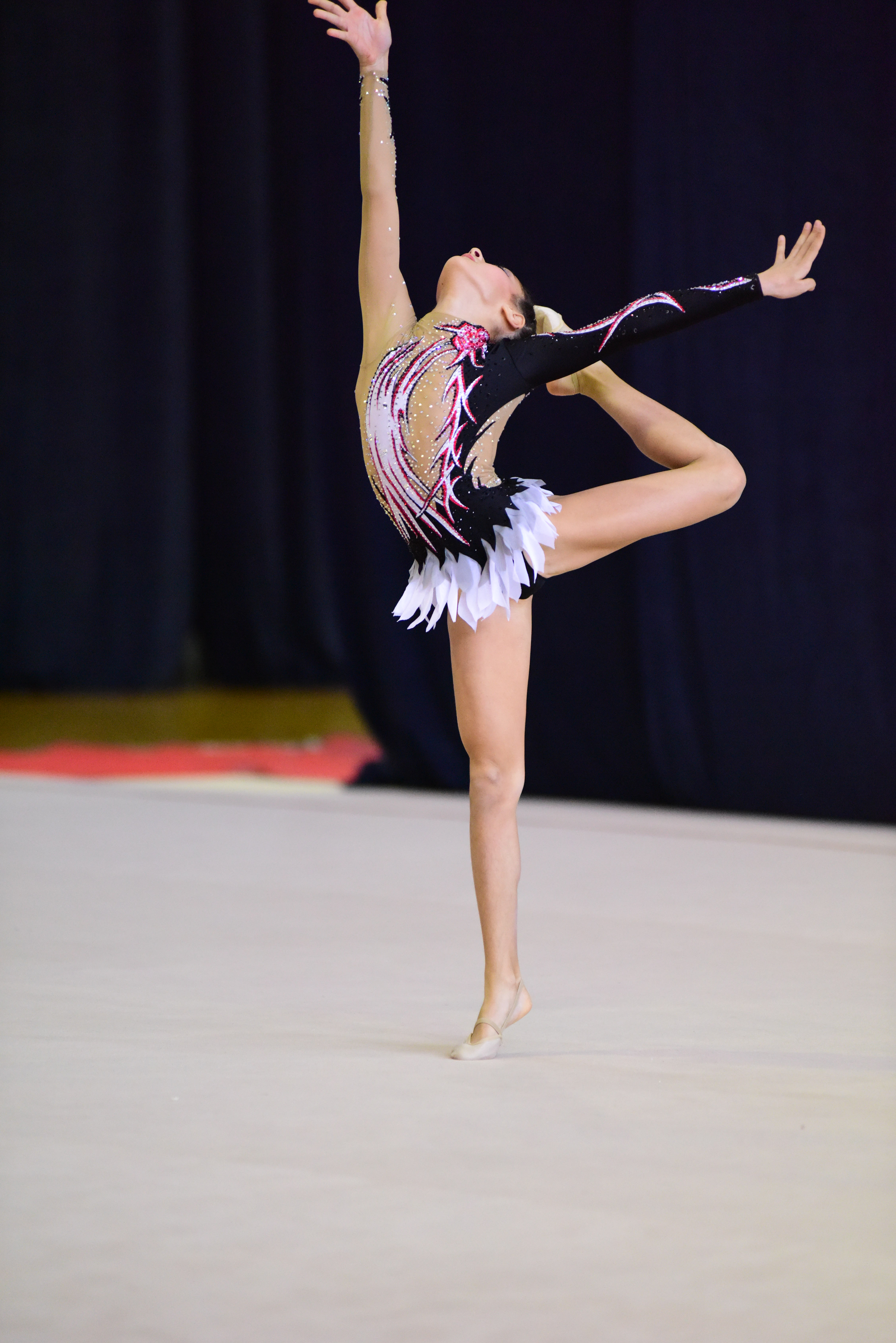 Gymnastics Success | St. Lawrence College